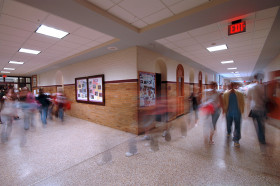 Wonderopolis